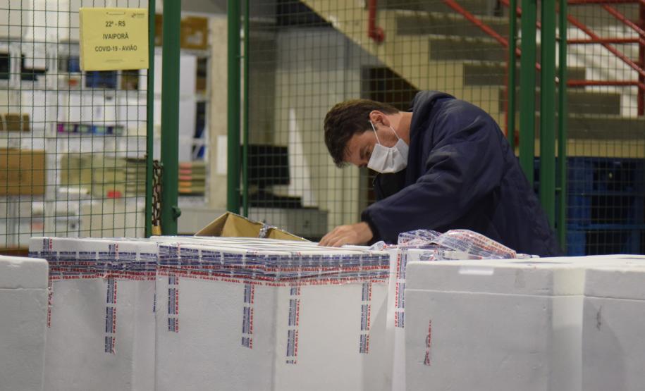 Paraná recebe novo lote de vacinas contra a Covid-19 e distribui 195,3 mil imunizantes nesta terça