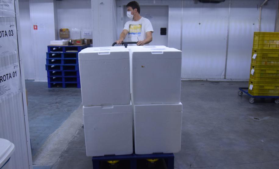 Paraná recebe novo lote de vacinas contra a Covid-19 e distribui 195,3 mil imunizantes nesta terça