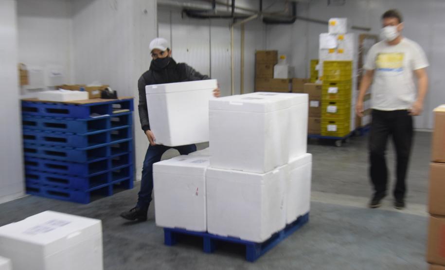 Paraná recebe novo lote de vacinas contra a Covid-19 e distribui 195,3 mil imunizantes nesta terça