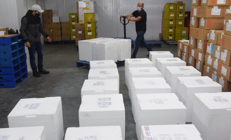 Paraná recebe novo lote de vacinas contra a Covid-19 e distribui 195,3 mil imunizantes nesta terça