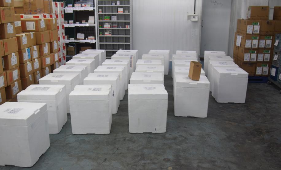 Paraná recebe novo lote de vacinas contra a Covid-19 e distribui 195,3 mil imunizantes nesta terça