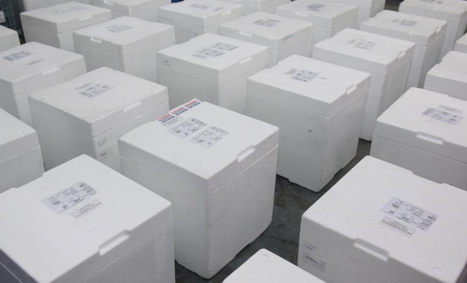 Paraná recebe novo lote de vacinas contra a Covid-19 e distribui 195,3 mil imunizantes nesta terça