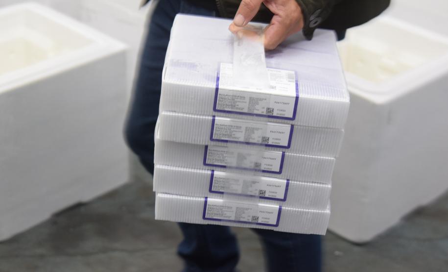 Paraná recebe novo lote de vacinas contra a Covid-19 e distribui 195,3 mil imunizantes nesta terça