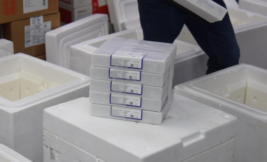 Paraná recebe novo lote de vacinas contra a Covid-19 e distribui 195,3 mil imunizantes nesta terça