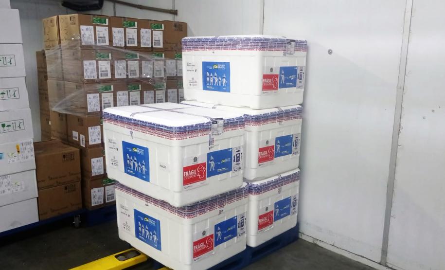 Paraná recebe novo lote de vacinas contra a Covid-19 e distribui 195,3 mil imunizantes nesta terça