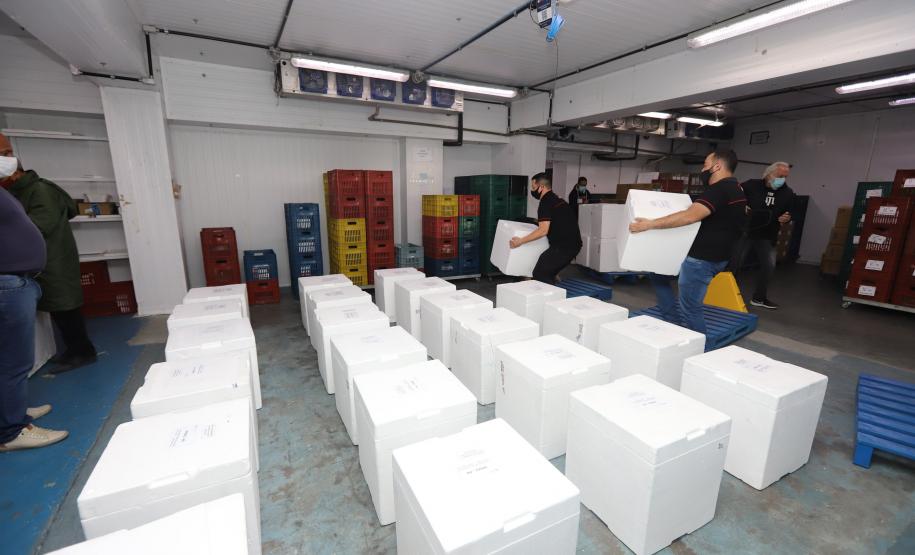 Mais 554,5 mil doses de vacinas contra a Covid chegam ao Paraná nesta sexta