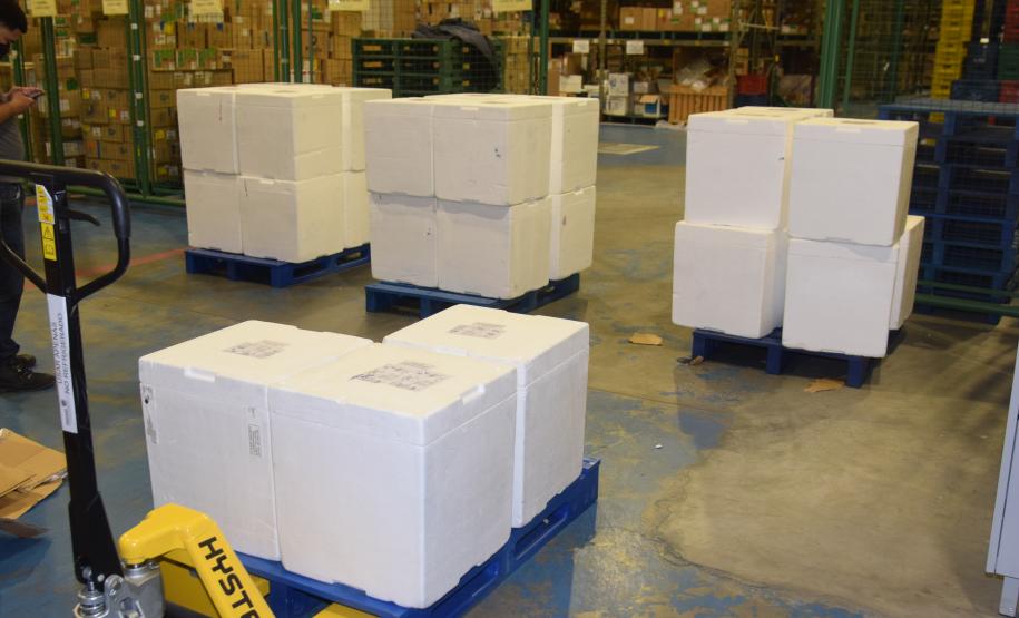 Mais de 176 mil vacinas contra a Covid-19 chegam ao Estado neste sábado