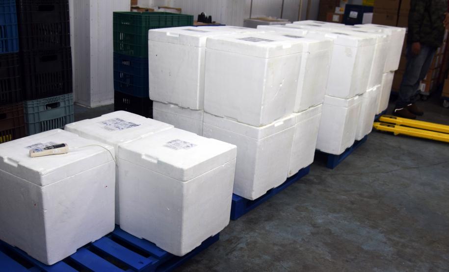 Mais de 176 mil vacinas contra a Covid-19 chegam ao Estado neste sábado