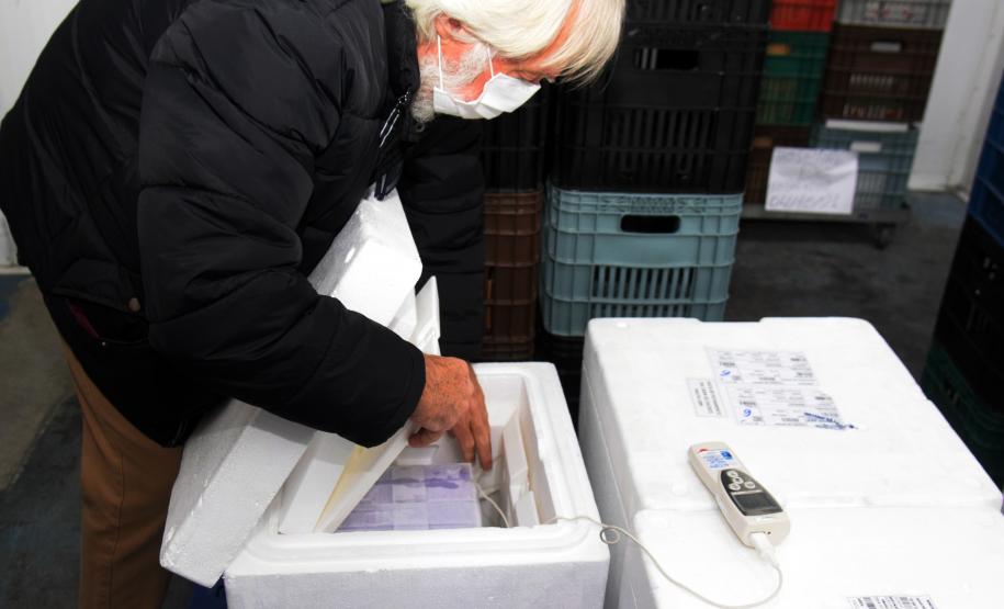 Mais de 176 mil vacinas contra a Covid-19 chegam ao Estado neste sábado