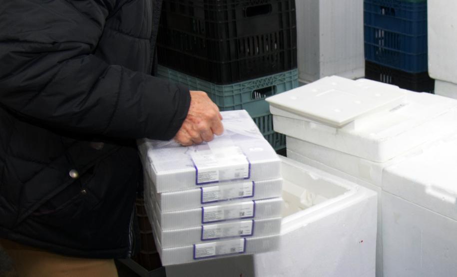 Mais de 176 mil vacinas contra a Covid-19 chegam ao Estado neste sábado