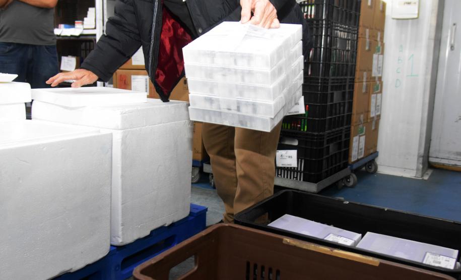 Mais de 176 mil vacinas contra a Covid-19 chegam ao Estado neste sábado