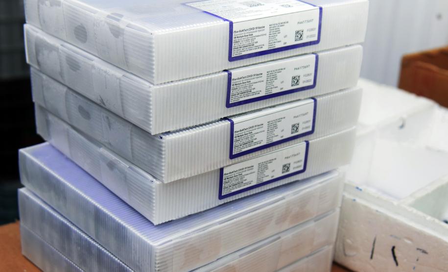 Mais de 176 mil vacinas contra a Covid-19 chegam ao Estado neste sábado