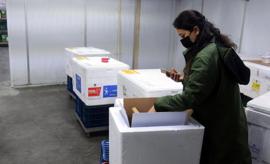 Saúde distribui primeiras vacinas para reforço de idosos acima de 60 anos e trabalhadores da saúde e anuncia chegada de novos lotes dos imunizantes