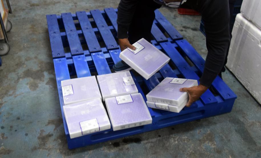 Saúde distribui primeiras vacinas para reforço de idosos acima de 60 anos e trabalhadores da saúde e anuncia chegada de novos lotes dos imunizantes