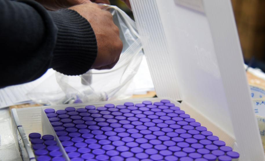 Saúde distribui primeiras vacinas para reforço de idosos acima de 60 anos e trabalhadores da saúde e anuncia chegada de novos lotes dos imunizantes