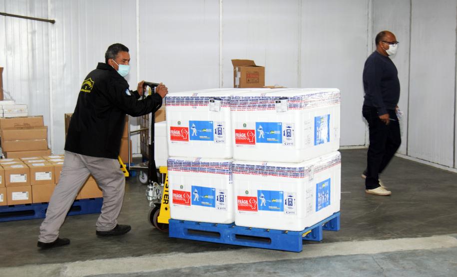 Estado recebe mais de 344 mil vacinas contra a Covid-19 nesta terça