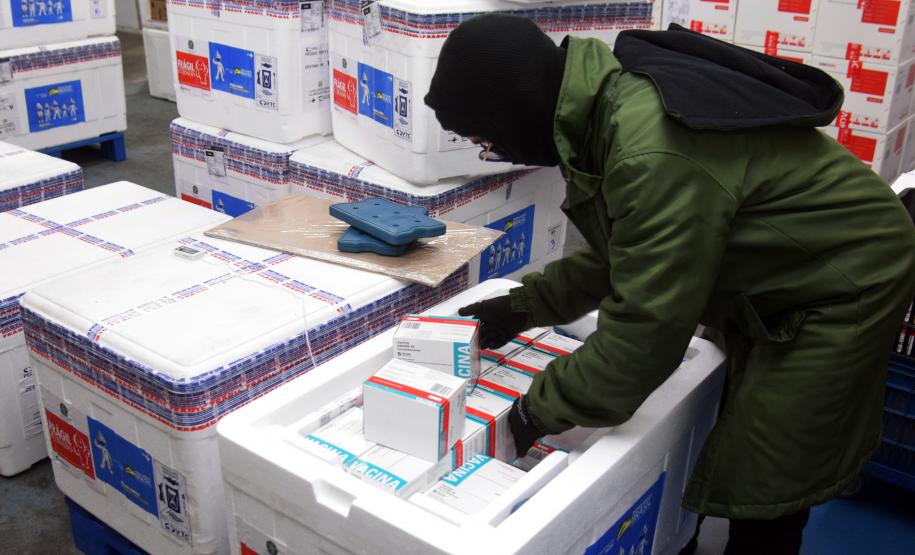 Estado recebe mais de 344 mil vacinas contra a Covid-19 nesta terça