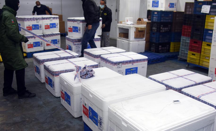 Estado recebe mais de 344 mil vacinas contra a Covid-19 nesta terça