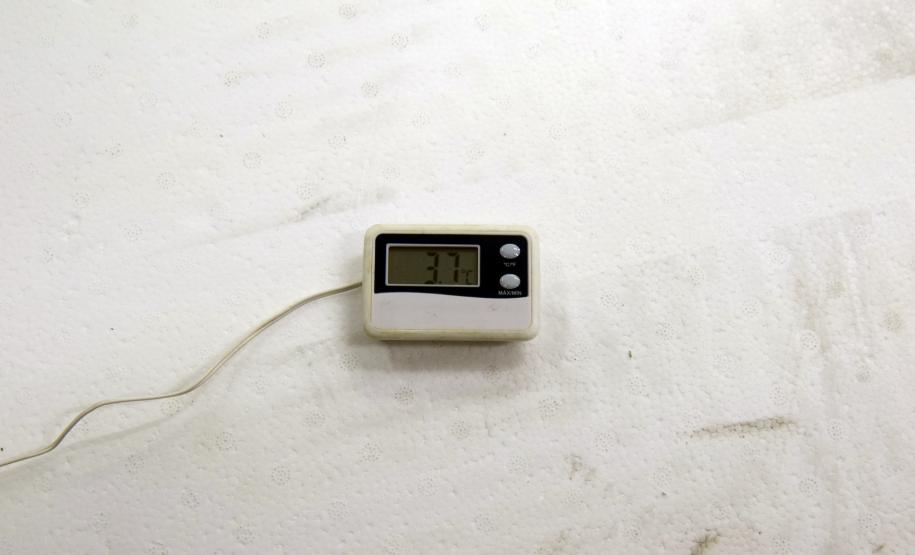 Estado recebe mais de 344 mil vacinas contra a Covid-19 nesta terça