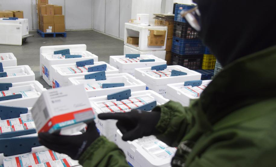 Estado recebe mais de 344 mil vacinas contra a Covid-19 nesta terça