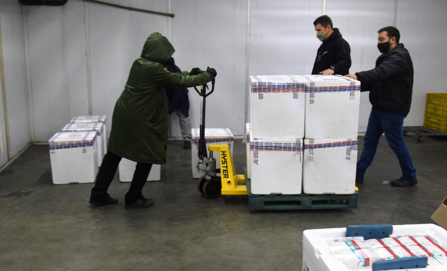 Estado recebe mais de 344 mil vacinas contra a Covid-19 nesta terça