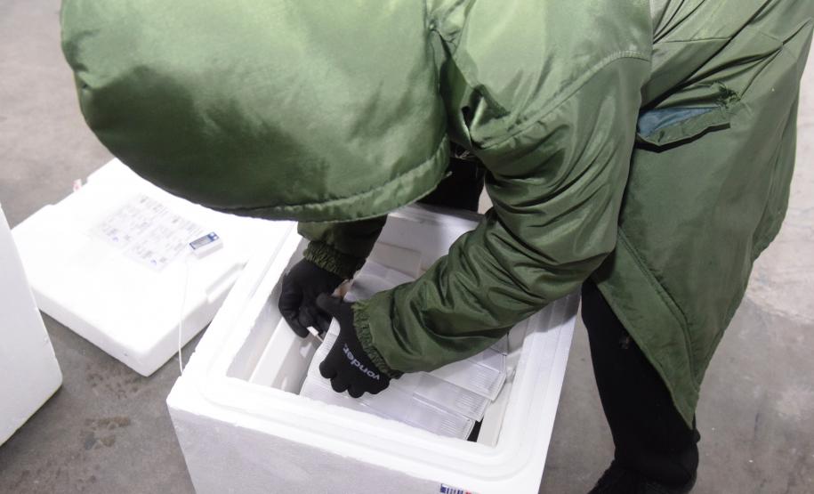 Estado recebe mais de 344 mil vacinas contra a Covid-19 nesta terça