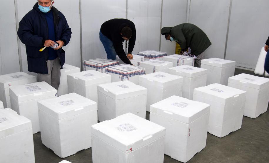 Estado recebe mais de 344 mil vacinas contra a Covid-19 nesta terça