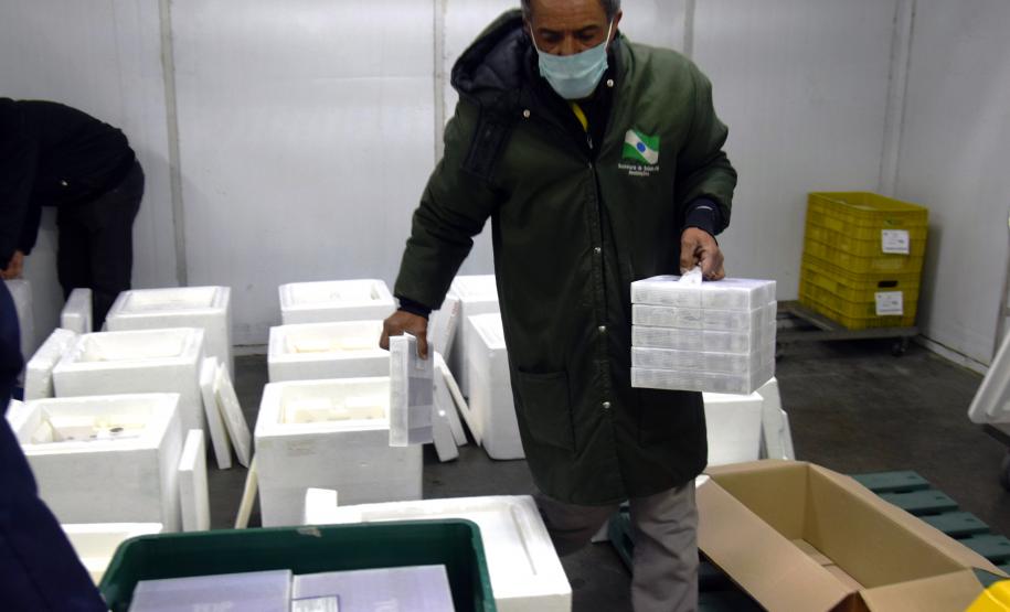 Estado recebe mais de 344 mil vacinas contra a Covid-19 nesta terça