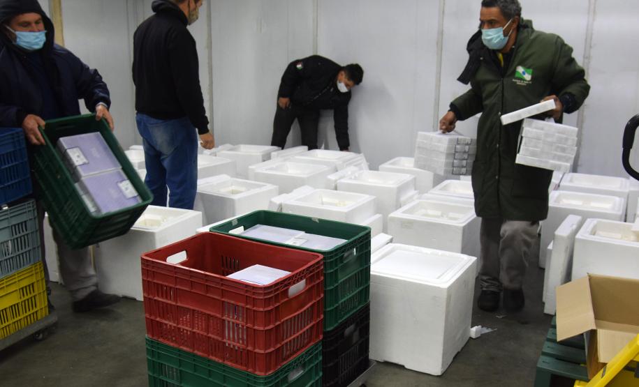 Estado recebe mais de 344 mil vacinas contra a Covid-19 nesta terça