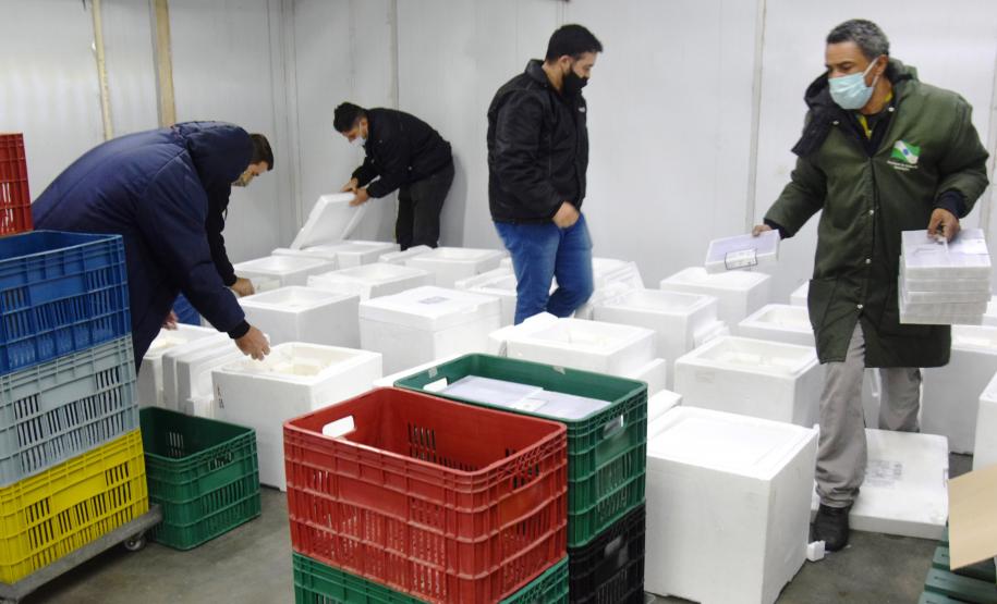 Estado recebe mais de 344 mil vacinas contra a Covid-19 nesta terça