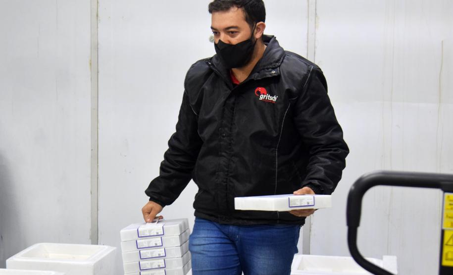 Estado recebe mais de 344 mil vacinas contra a Covid-19 nesta terça