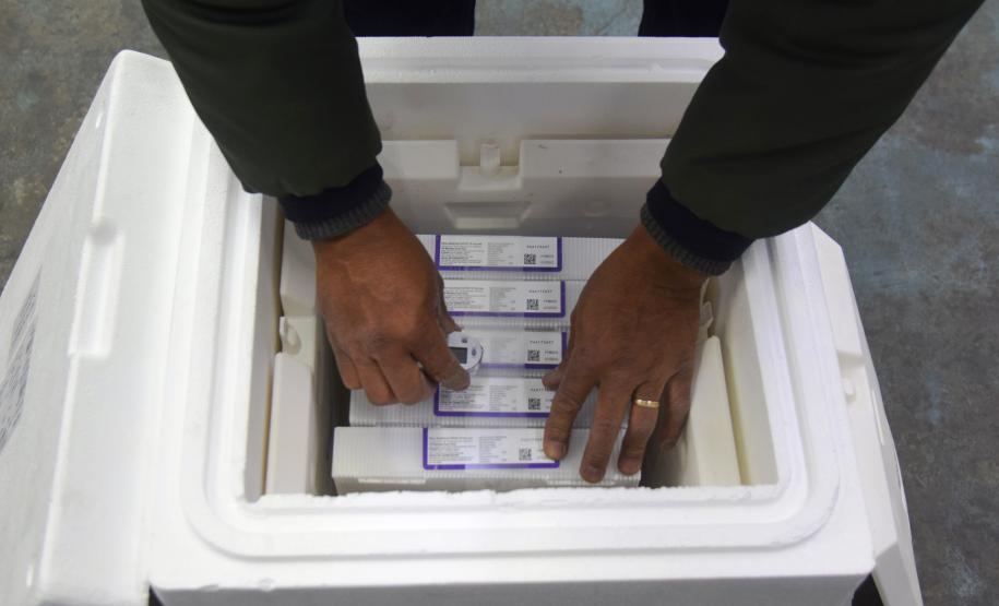 Paraná recebe 124.020 vacinas contra a Covid-19 nesta quinta