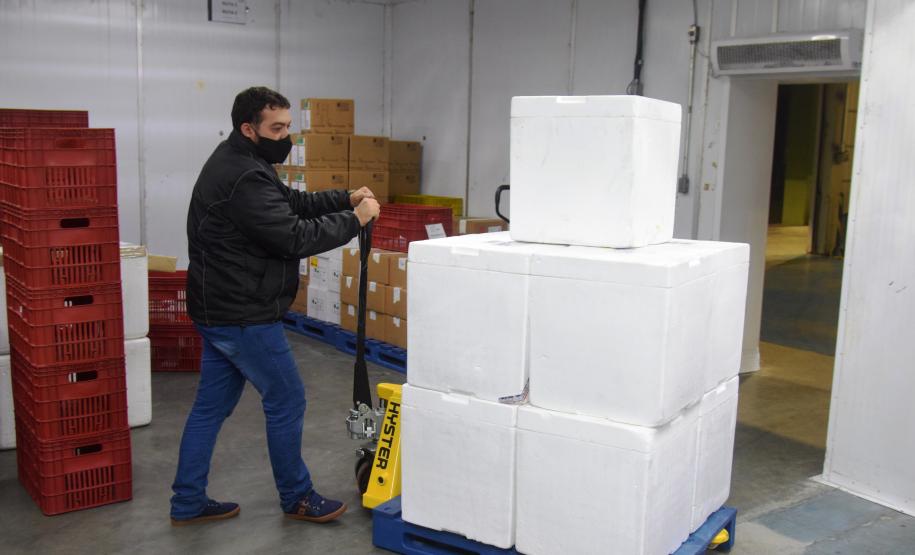 Paraná recebe 124.020 vacinas contra a Covid-19 nesta quinta