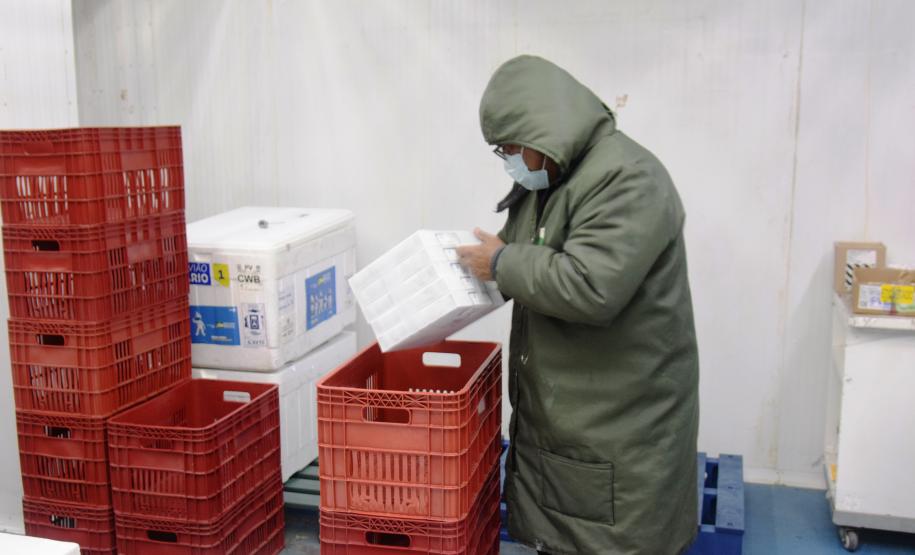 Paraná recebe 124.020 vacinas contra a Covid-19 nesta quinta