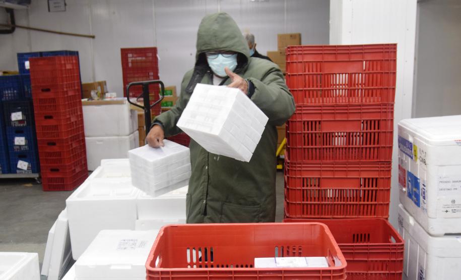 Paraná recebe 124.020 vacinas contra a Covid-19 nesta quinta