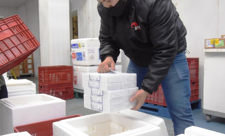 Paraná recebe 124.020 vacinas contra a Covid-19 nesta quinta