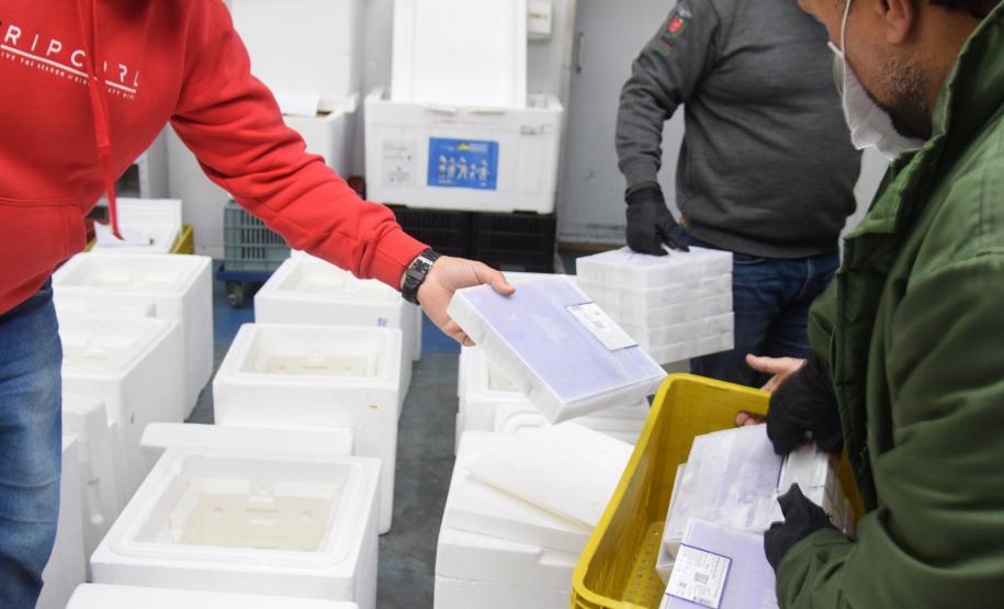 Mais 154,4 mil doses de vacinas contra a Covid-19 chegam ao Paraná