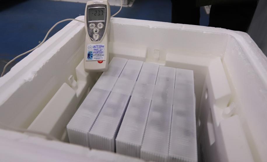 Paraná recebe primeiras doses contra a Covid-19 para adolescentes sem comordidades