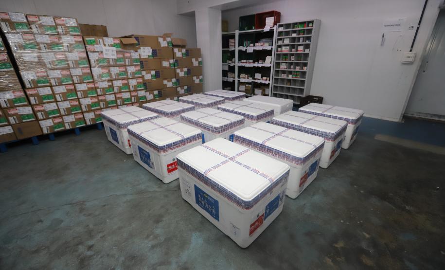 Paraná recebe 133,1 mil vacinas contra a Covid-19