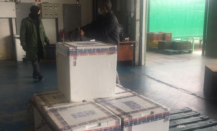 Estado recebe mais 30,4 mil vacinas contra a Covid-19 nesta quarta