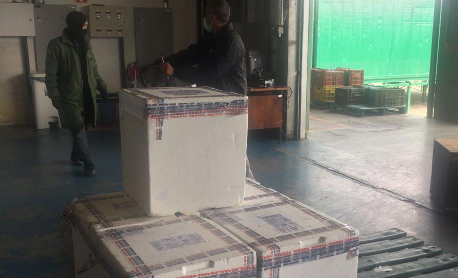 Estado recebe mais 30,4 mil vacinas contra a Covid-19 nesta quarta