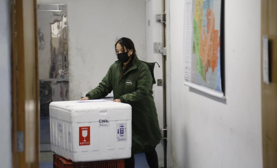 Mais de 657 mil vacinas são distribuídas neste sábado para os municípios