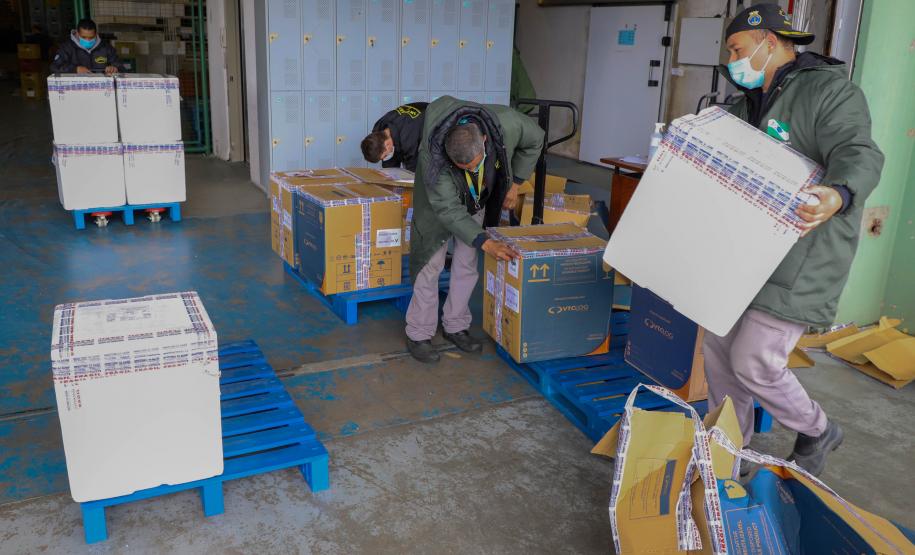 Mais 193 mil vacinas da Pfizer chegam ao Paraná nesta sexta