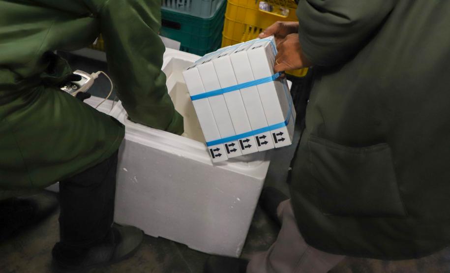 Mais 193 mil vacinas da Pfizer chegam ao Paraná nesta sexta