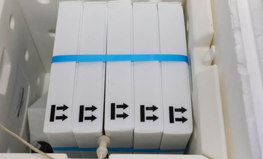 Mais 193 mil vacinas da Pfizer chegam ao Paraná nesta sexta