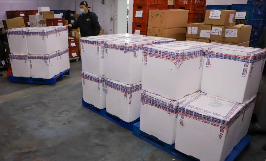 Mais 193 mil vacinas da Pfizer chegam ao Paraná nesta sexta