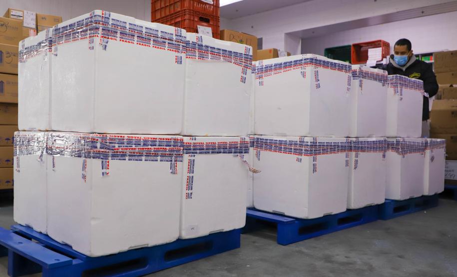 Mais 193 mil vacinas da Pfizer chegam ao Paraná nesta sexta