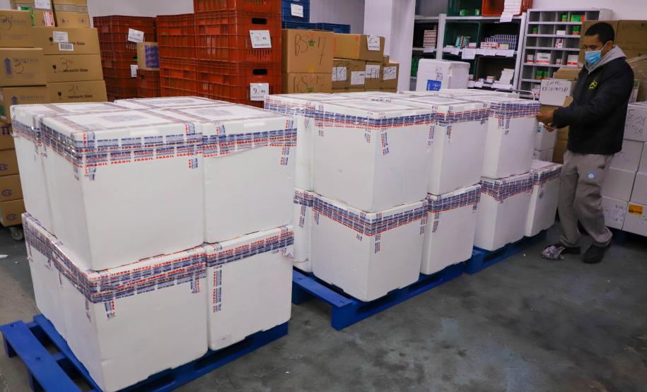 Mais 193 mil vacinas da Pfizer chegam ao Paraná nesta sexta