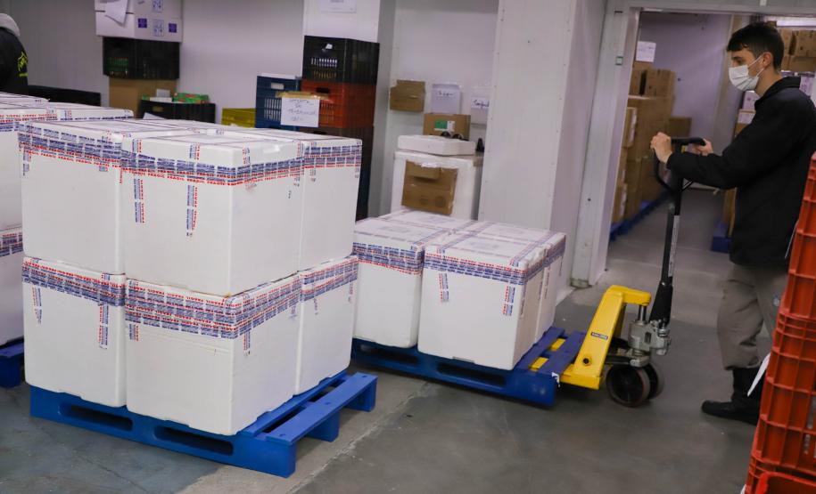 Mais 193 mil vacinas da Pfizer chegam ao Paraná nesta sexta