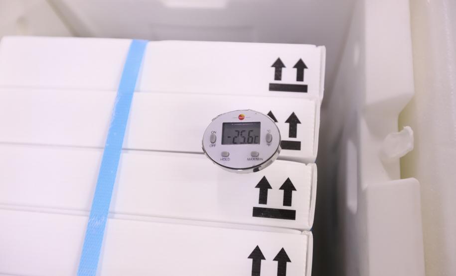 Mais 451 mil doses de vacinas contra a Covid-19 chegam ao Paraná